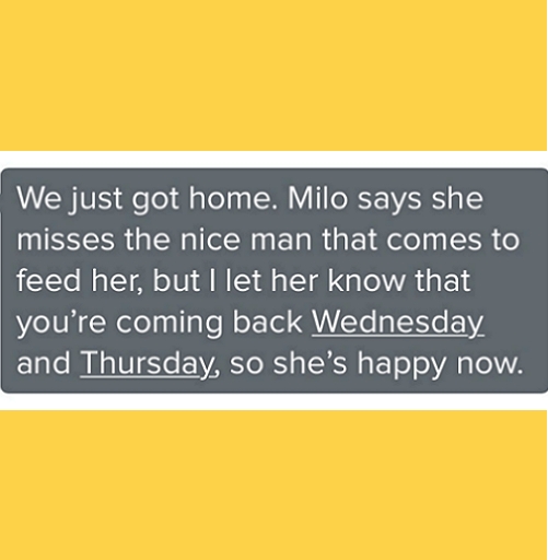 Authentic client testimonial review for Cat Sitting North York