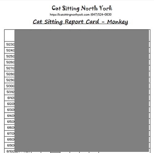 Daily Cat Sitter Report Card North York for client peace of mind